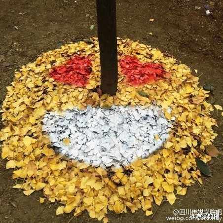 University students make smiley faces out of ginkgo leaves