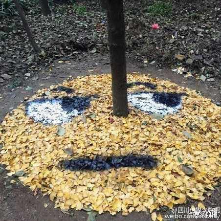 University students make smiley faces out of ginkgo leaves