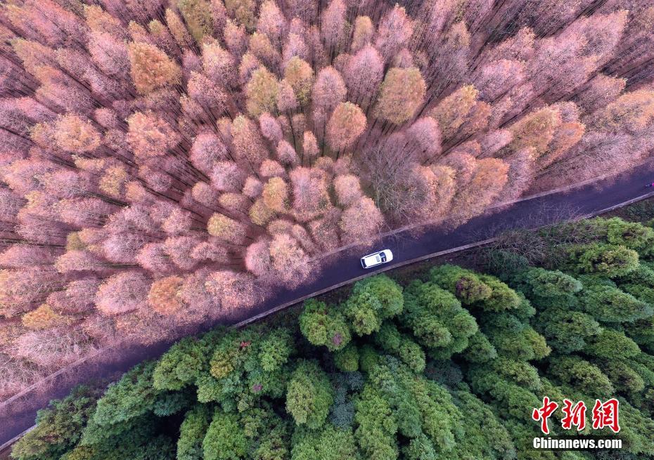 Colorful scenery of Shanwangping Karst National Ecological Park