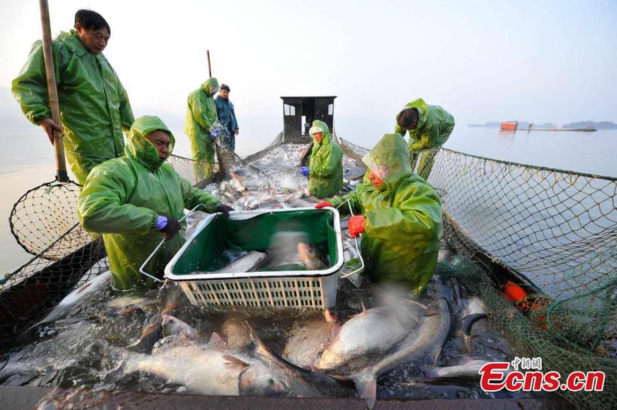 Fishing season of Fairy Lake begins