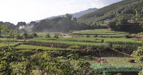 China to build 100 modern agricultural manors by 2020