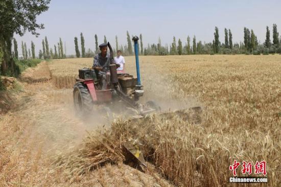 35 billion kilograms of grains wasted annually in China