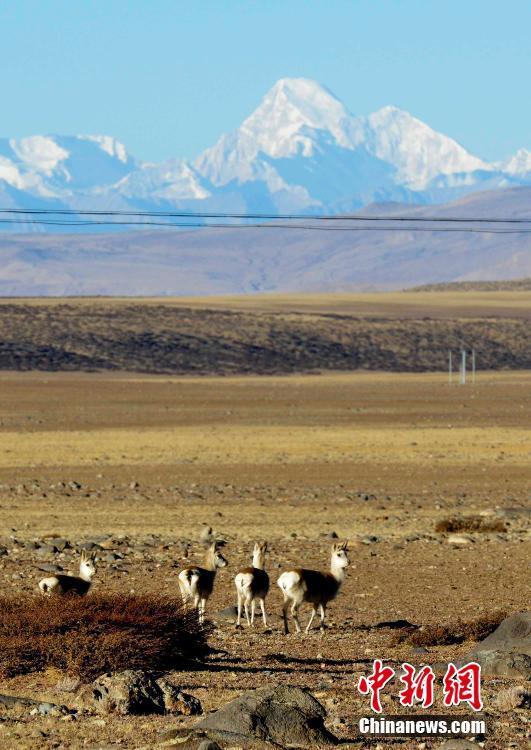 Ali: paradise for wildlife