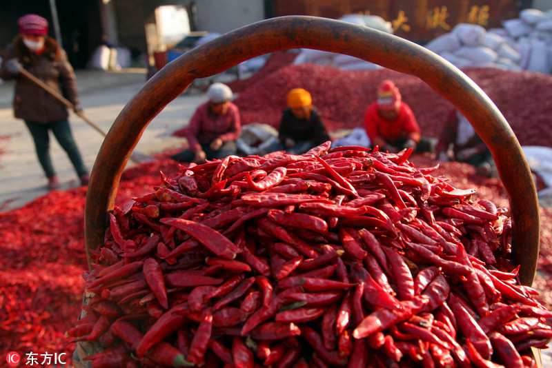 Pepper harvest bathes Shanxi village in sea of red