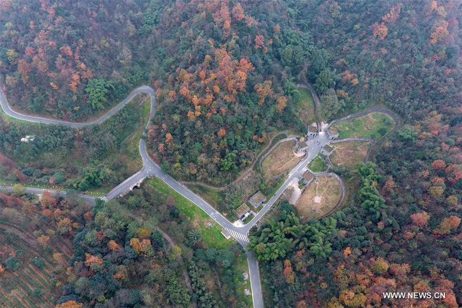 China Exclusive: Panda Grandpa welcomes winter at Sichuan 