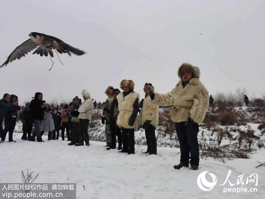 Falconry culture festival in Jilin