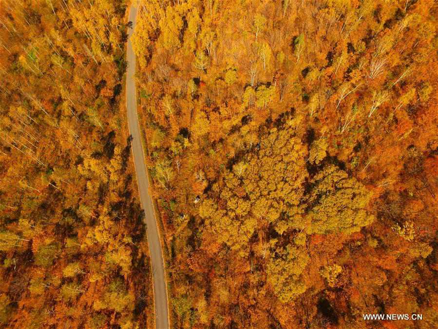 In pics: breathtaking sceneries across China