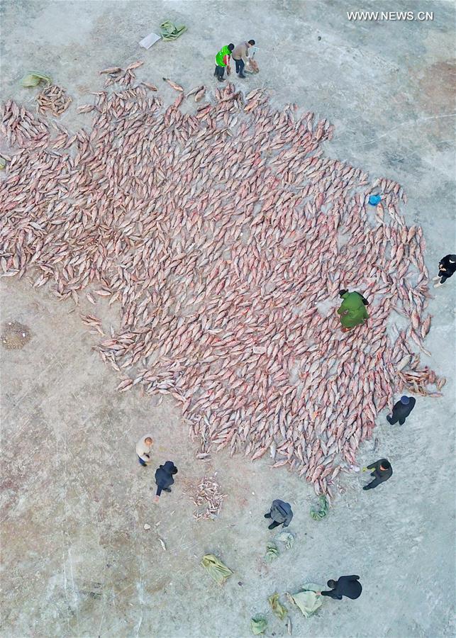 CHINA-JILIN-CHAGAN LAKE-WINTER FISHING (CN)