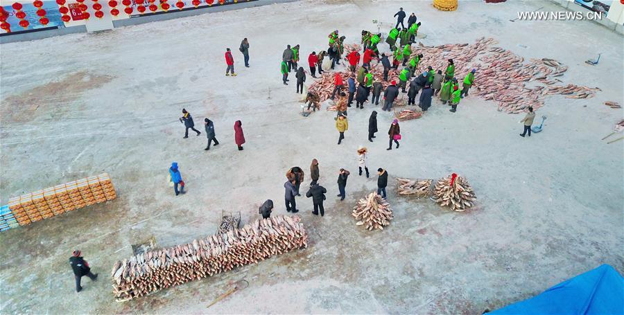 CHINA-JILIN-CHAGAN LAKE-WINTER FISHING (CN)