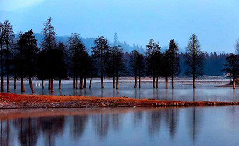 Mist transforms Qishu Lake into mysterious wonderland