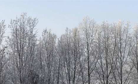Rime scenery at Chaobai river in Beijing