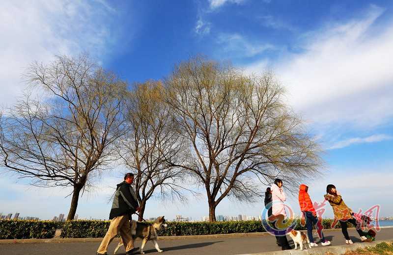 Blue sky days increases 41 year on year in Xiangyang