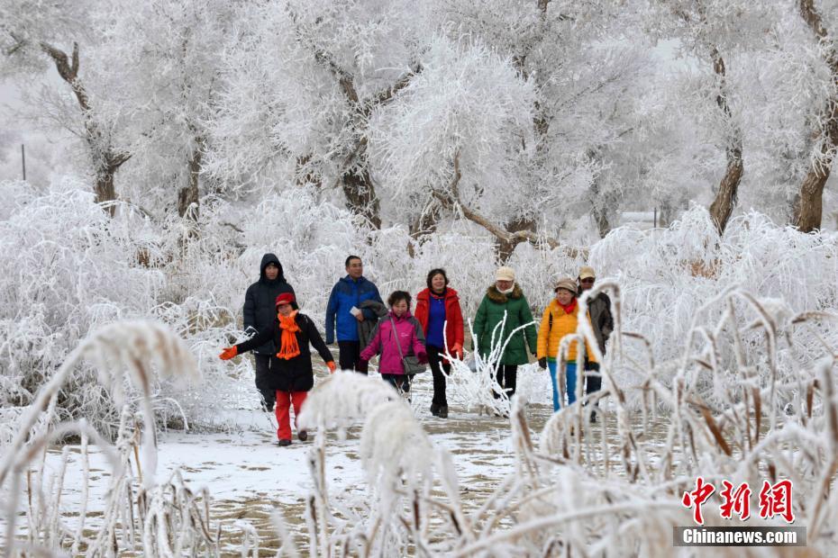Splendid frost along Xinjiang's Tarim River