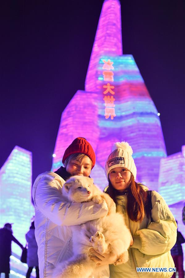 CHINA-HARBIN-ICE-SNOW WORLD-OPEN(CN)