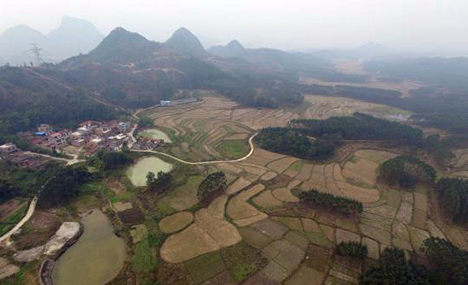 Selenium-rich soil discovered in Guangxi
