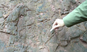 Jurassic dinosaur footprints found in Guizhou, China