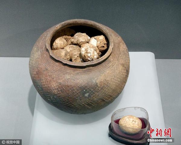 2,800-year-old eggs exhibited at Nanjing Museum