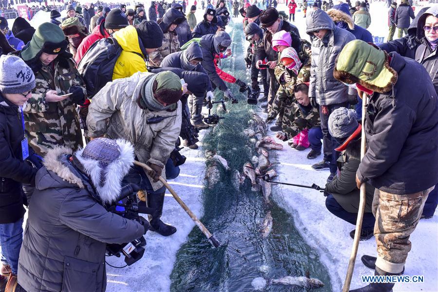 Fishermen harvest in winter fishing in China's Xinjiang