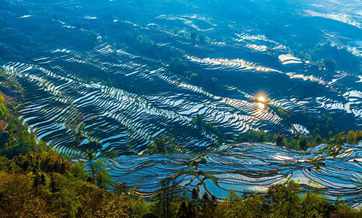 Honghe Rice Terraces: Masterpiece of Hani people