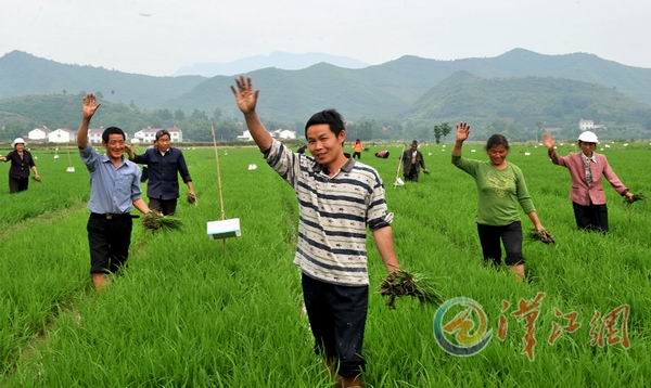 Xiangyagn strives to complete investment of RMB237 billion this year