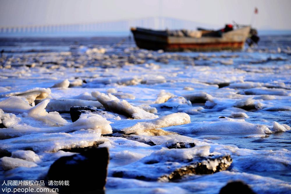 Sea ice at Jiaozhou Bay