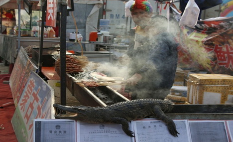 Grilled crocodile meat catches attention