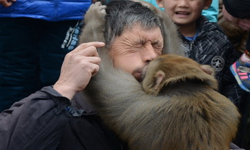 A street performer and his monkey kiss