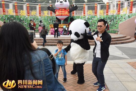 Adorable 'pandas' at HK temple fair