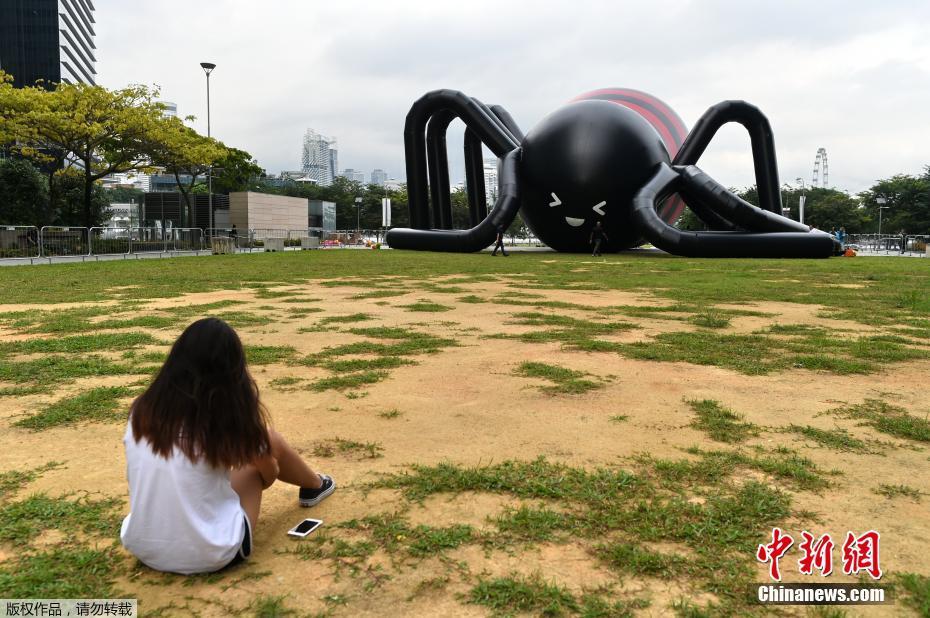 10-meter inflatable spider unveiled in Singapore
