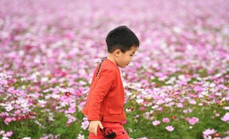 Early spring flowers in Guangxi