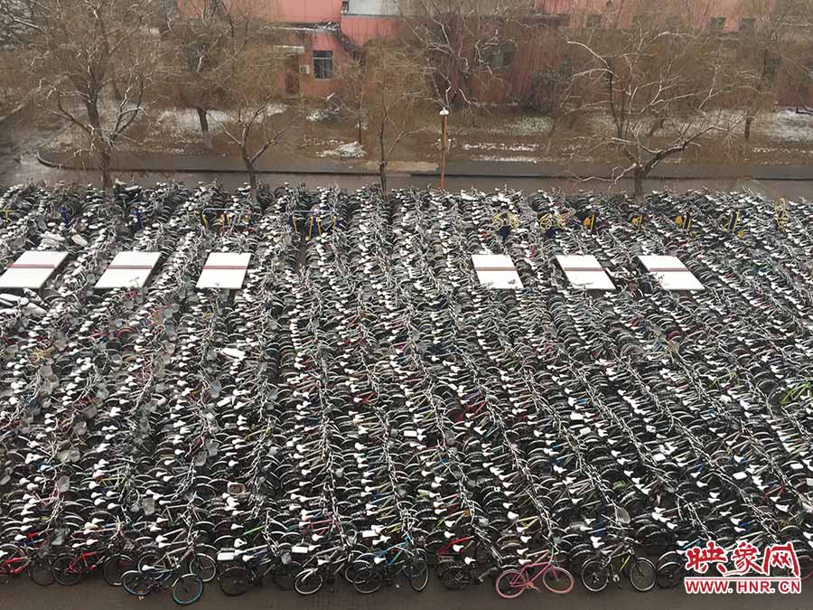 University disposes of 'zombie' bicycles during winter vacation