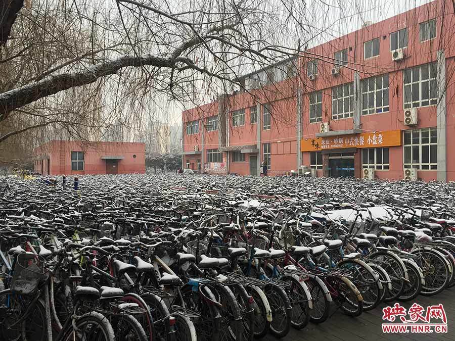 University disposes of 'zombie' bicycles during winter vacation