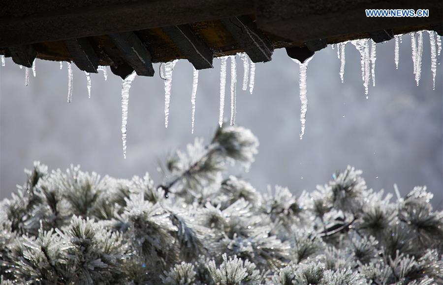 #CHINA-JIANGXI-LUSHAN MOUNTAIN-SNOWFALL (CN)