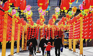 Culture Insider: 7 things you may not know about Lantern Festival