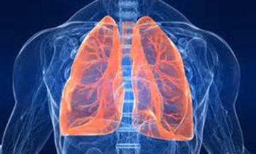 China first to repair lungs with stem cells