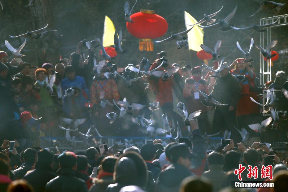 Bird festival celebrated in Beijing's Shuiquan village
