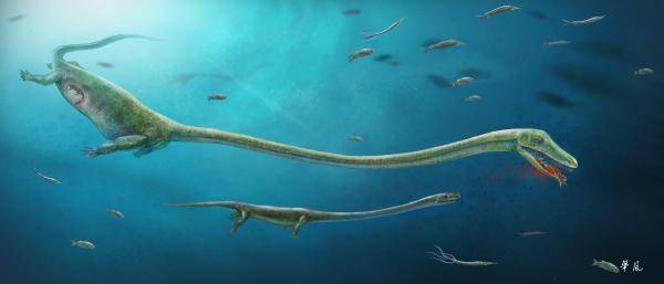 Chinese scientist discovers 245 million-year-old fossil of pregnant Dinocephalosaurus