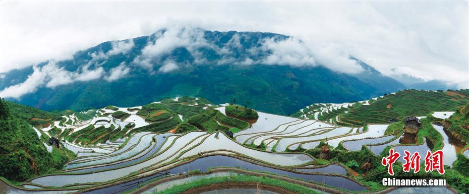 Picturesque paddy fields in southwestern China