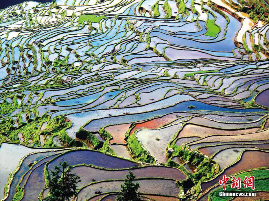 Picturesque paddy fields in southwestern China
