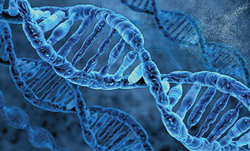 Principles of human gene editing released