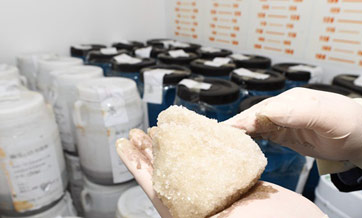 Police seize over 1 tonne of meth
