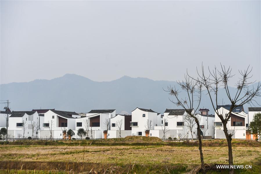 New houses in E China's village become popular on internet