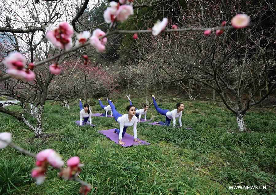 Yoga lovers practise yoga at plum garden in C China