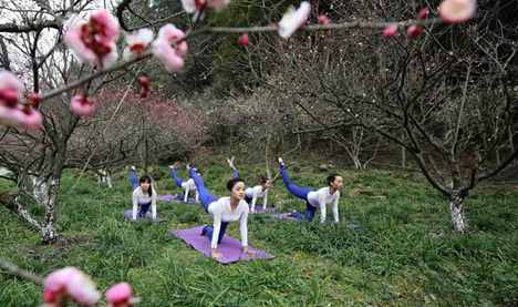 Yoga lovers practise yoga at plum garden