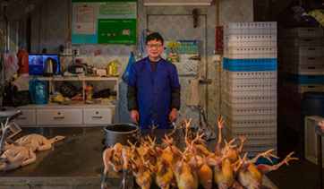 Govt enhances efforts to control H7N9