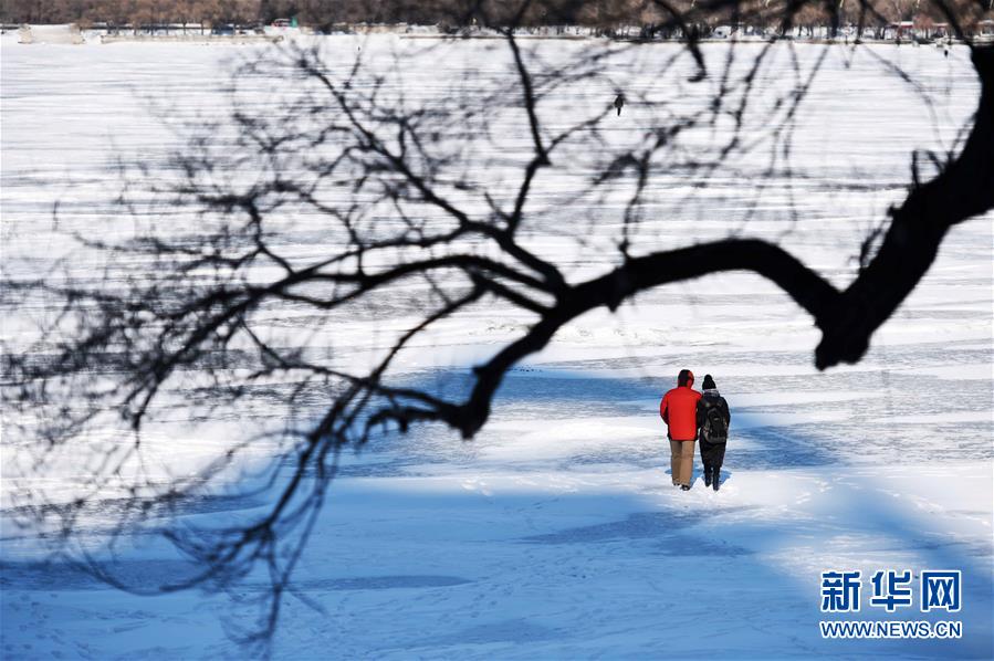 Harbin's 'ice city' enchants visitors