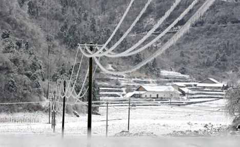 Electric wires covered in icicles