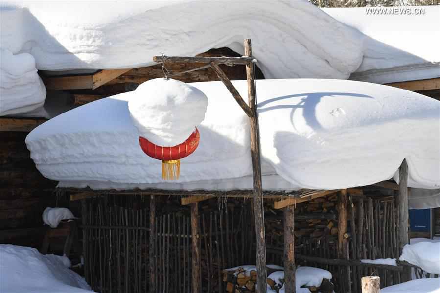 Snow scenery of Shuangfeng Forest Farm at Mudanjiang City in NE China