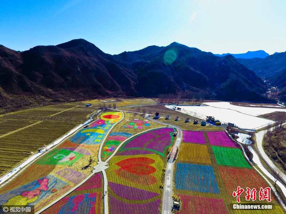 Spectacular! 1 million pinwheels turn Beijing village into colorful picture