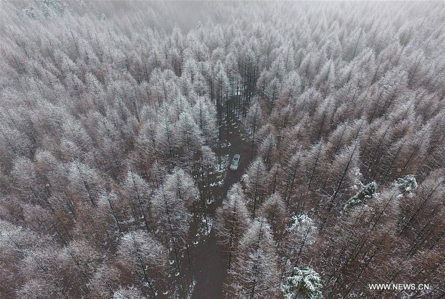 Snow-covered forest in Chongqing, southwest China